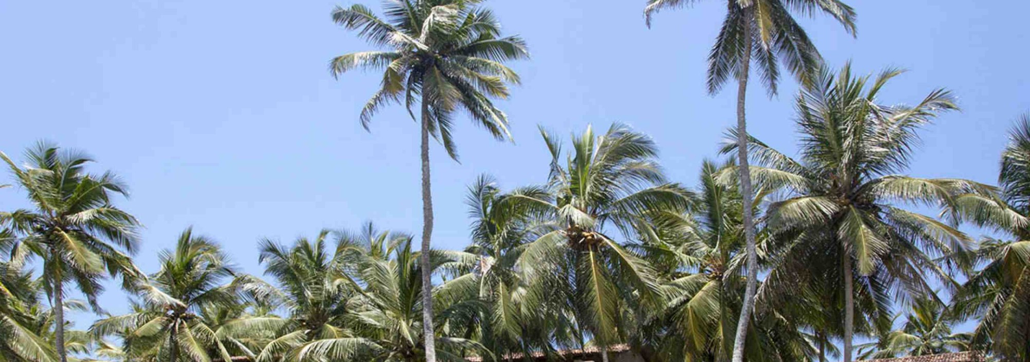 amanwella-resort-tangalle