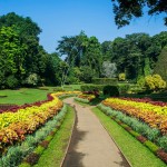 botanische-tuinen-peradeniya