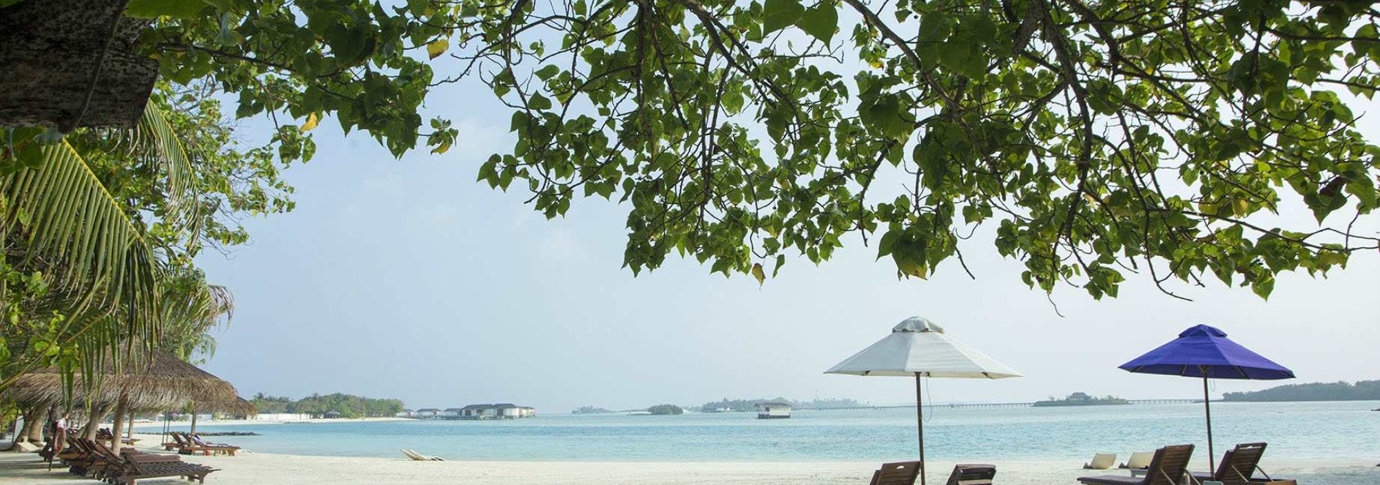 cinnamon-dhonveli-lagoon-view-malediven