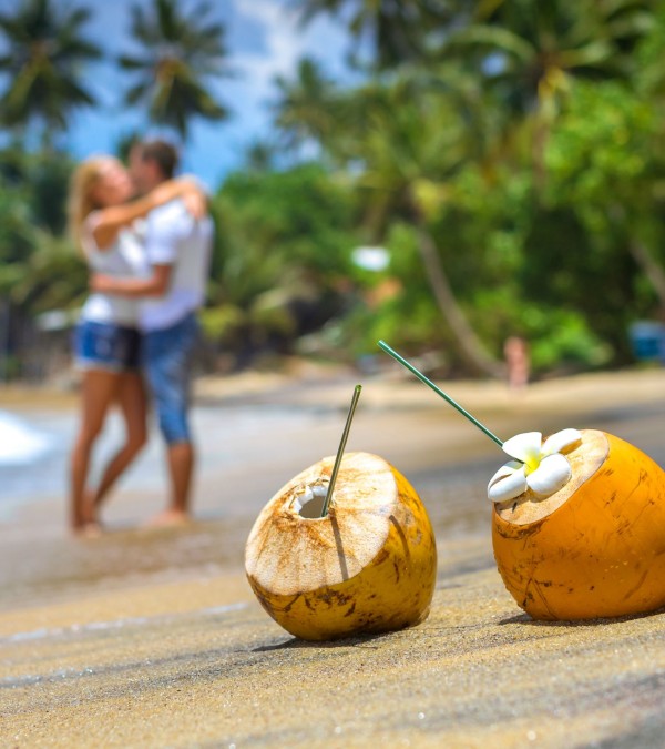 coconut-strand-koppel-srilanka