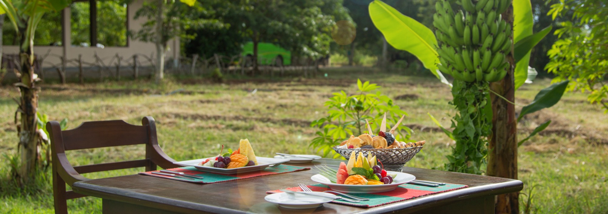 dining-kassapa-lions-rock
