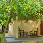 exterior-kassapa-lions-rock