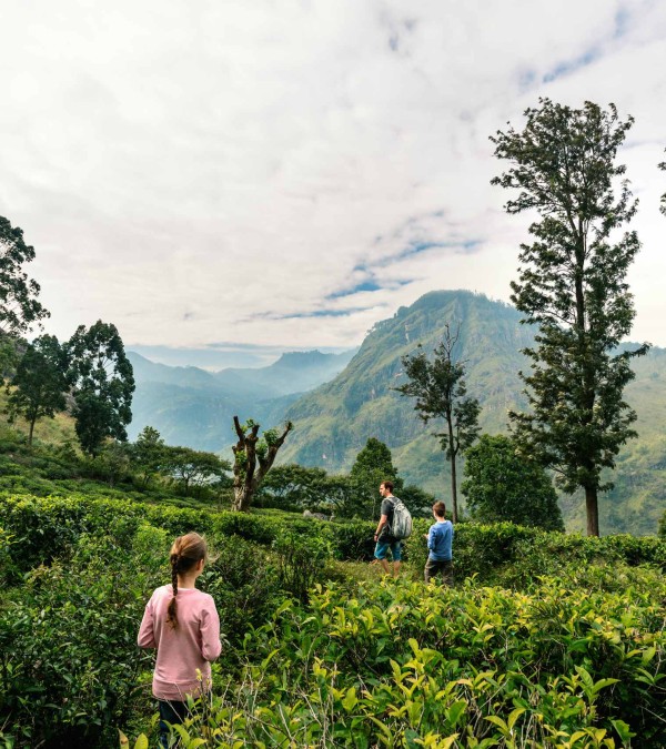 familie-theeplantage-ella-srilankatravel