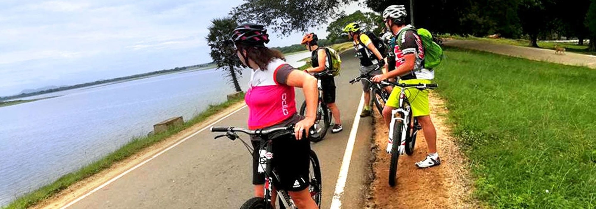 fietsen-hotel-sudu-araliya