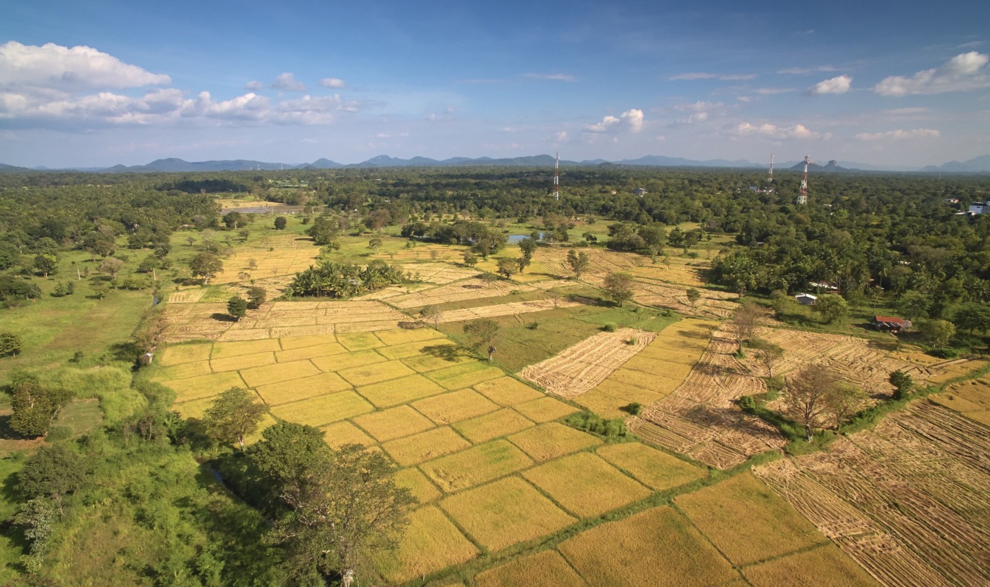 habarana