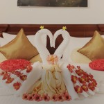 honeymoon-avian-breeze-nuwara-eliya