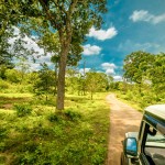 jeep-safari-yala-national-park-sri-lanka-travel