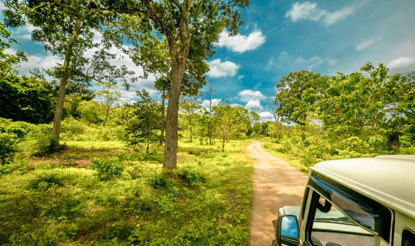 jeep-safari-yala-national-park-sri-lanka-travel