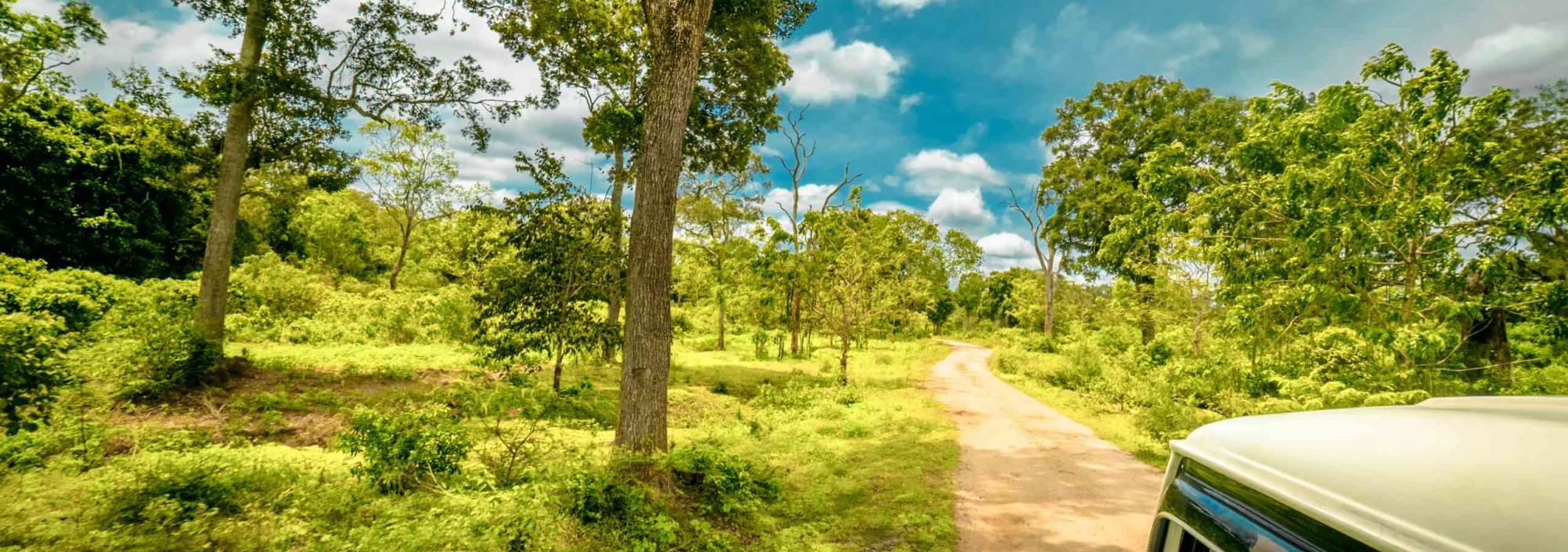 jeep-safari-yala-national-park-sri-lanka-travel