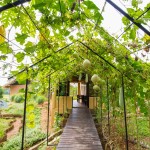 lake-serenity-garden-srilanka
