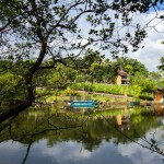 lake-serenity-srilankatravel