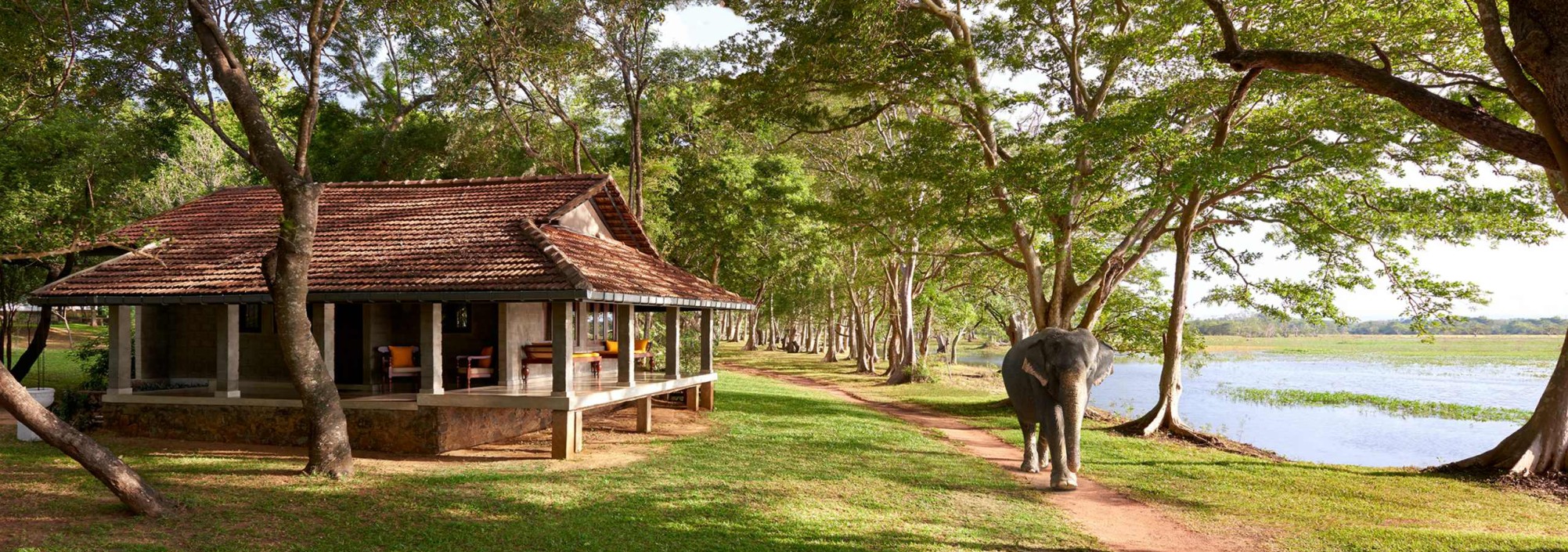 landscpae-with-lake-habarana-village-cinnamon-srilankatravel