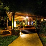 lobby-elephant-reach-yala