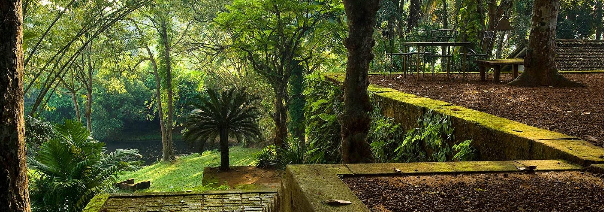 lunuganga-garden-the-palms-beruwela
