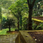 lunuganga-garden-the-palms-beruwela