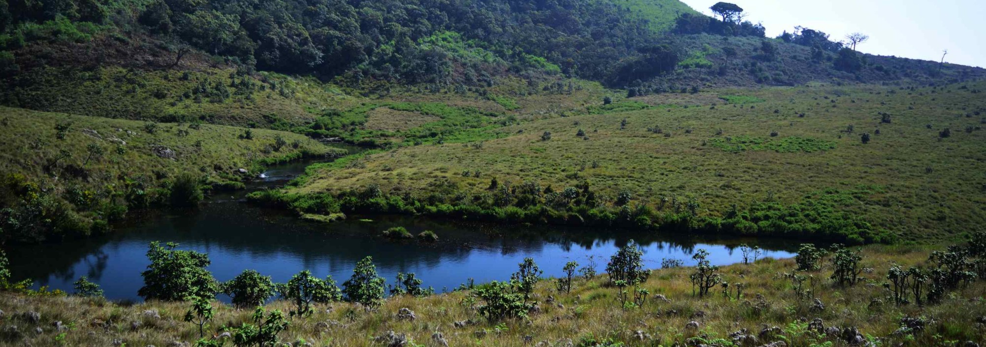 natuur-hortain-plains-srilanka