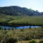 natuur-hortain-plains-srilanka