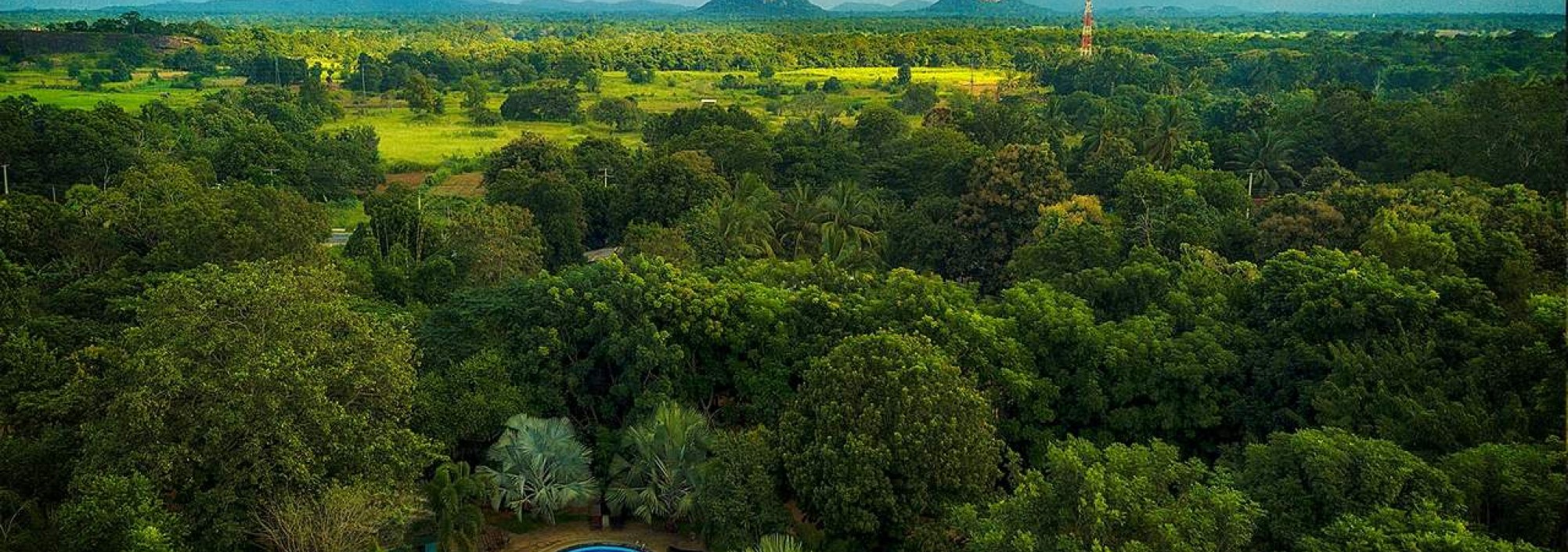 natuur-saunter-paradise-hotel-srilankatravel