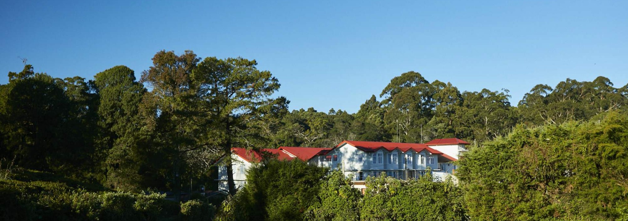 nuwara-eliya-galway-heights-hotel