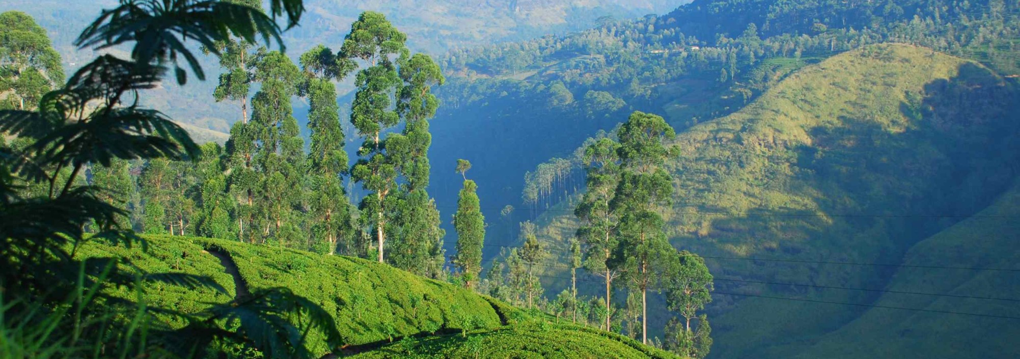 nuwara-eliya-jetwing-st-andrews