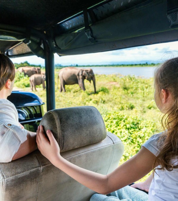 olifanten-jeepsafari-udawalawe-national-park-srilanka