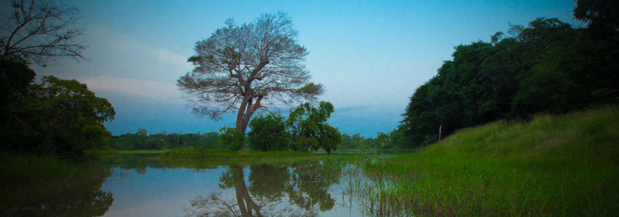 omgeving-palm-garden-village-anuradhapura