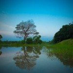 omgeving-palm-garden-village-anuradhapura