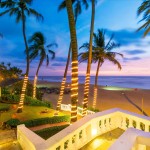 palmbomen-mount-lavinia-hotel-srilanka