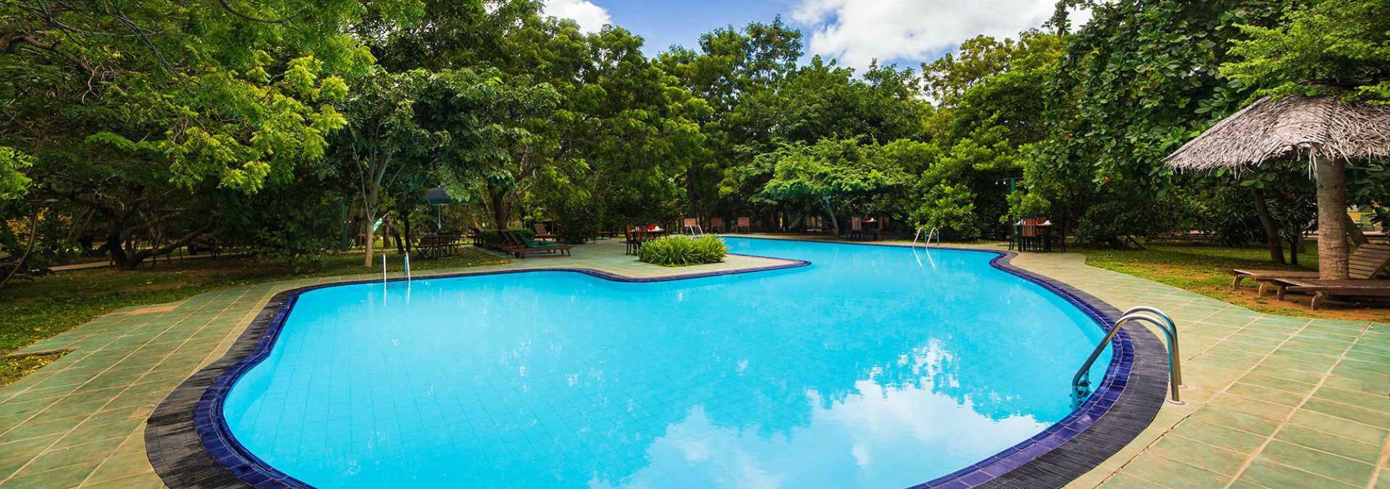 pool-elephant-reach-yala-national-park