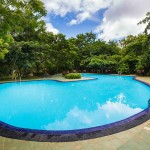 pool-elephant-reach-yala-national-park