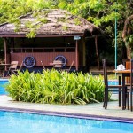 pool-elephant-reach-yala-srilanka-travel