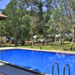 pool-hibiscus-beach-hotel-srilankatravel