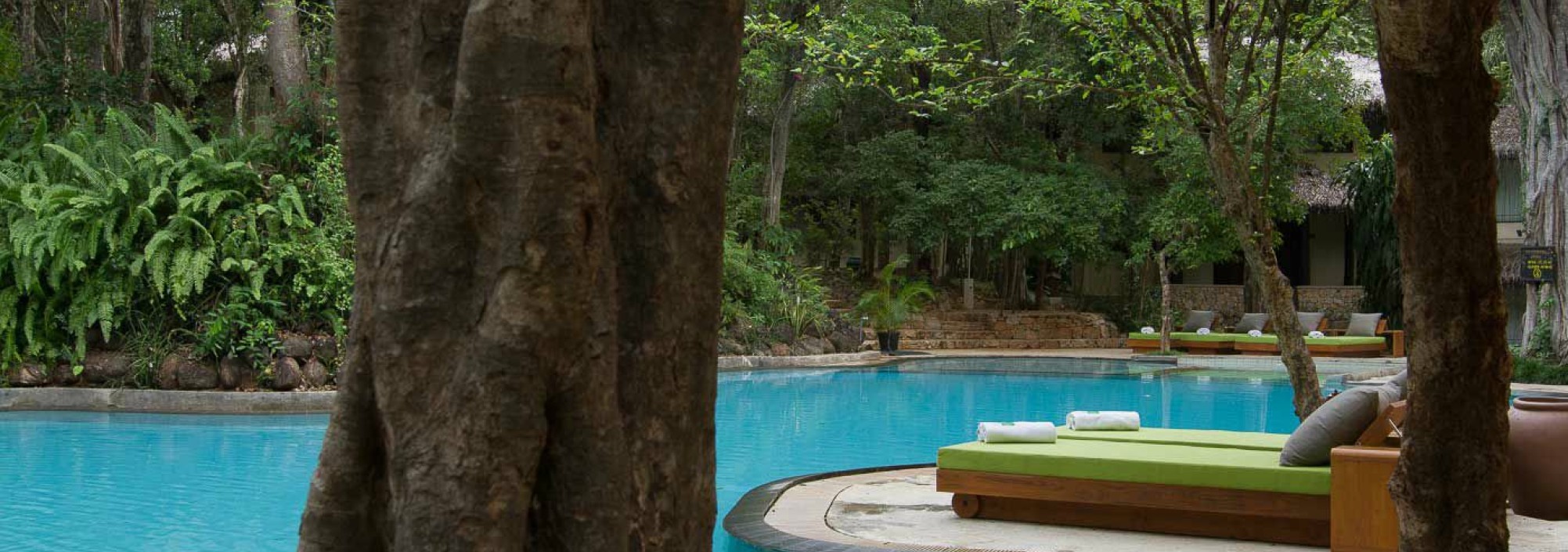 pool-seer-park-hotel-polonnaruwa