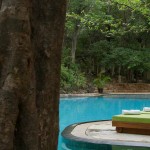 pool-seer-park-hotel-polonnaruwa