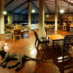 restaurant-bar-elephant-reach-yala