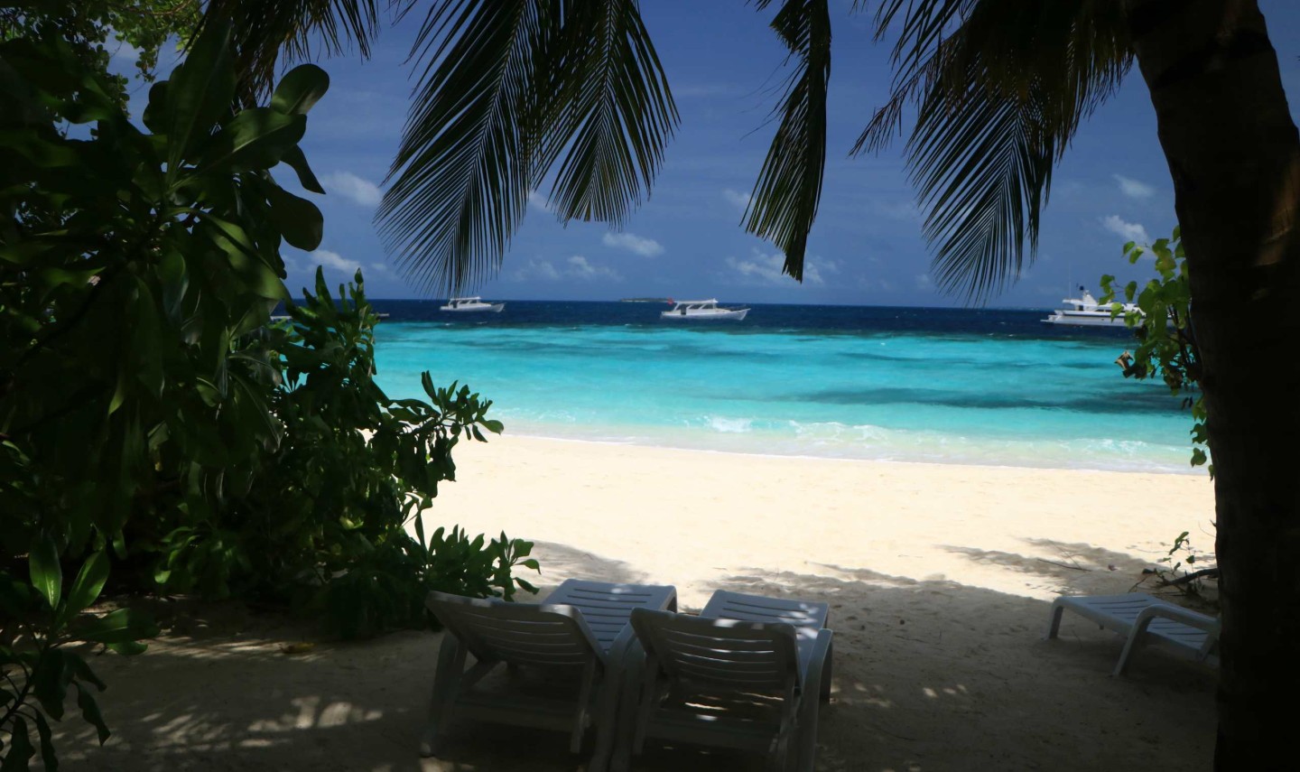 strand-eriyadu-island-malediven-srilankatravel