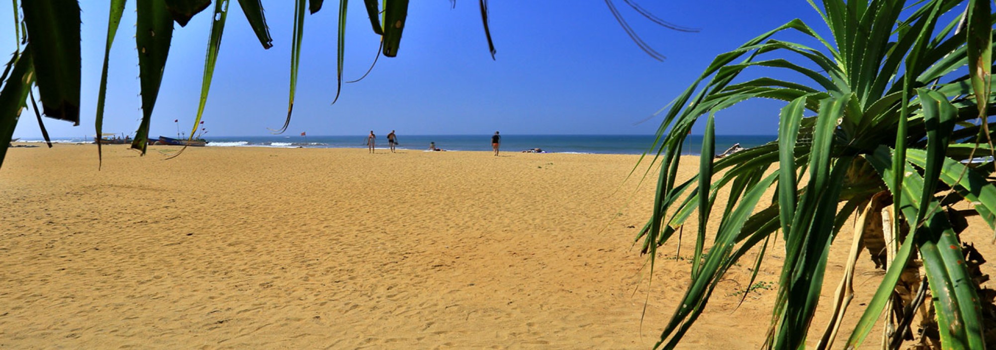strand-hibiscus-beach-hotel