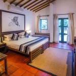 superior-elephant-reach-yala-srilanka-travel