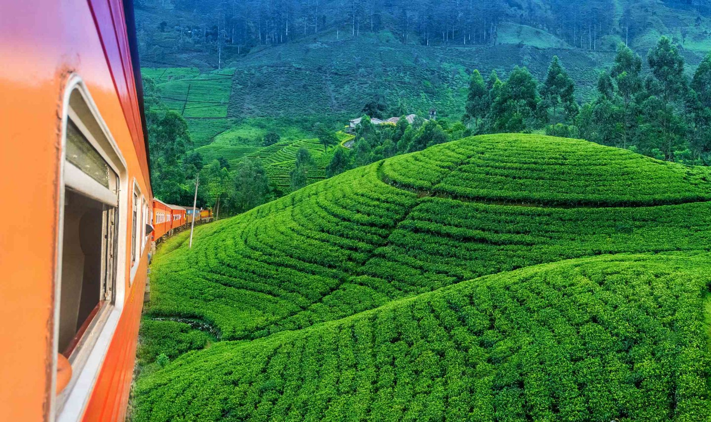 trein-kandy-theeplantages-srilankatravel