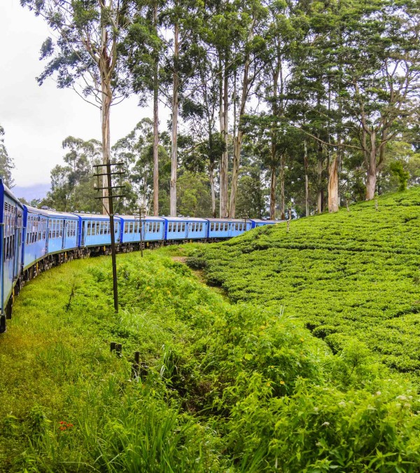 trein-nuwara-eliya-srilanka