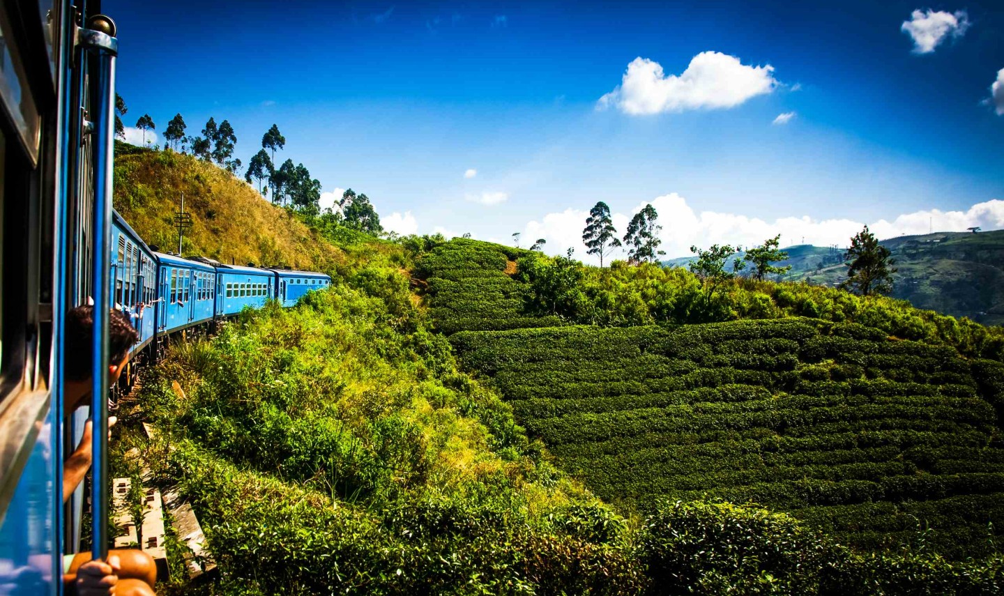 trein-theeplantages-nuwara-eliya-kandy-srilankatravel