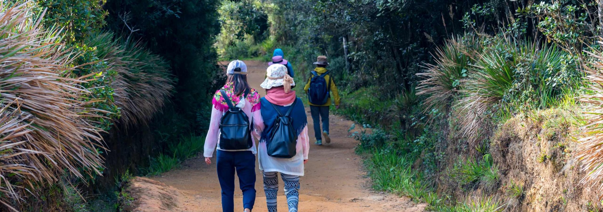 trekking-hortain-plains-srilanka