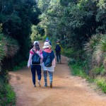 trekking-hortain-plains-srilanka
