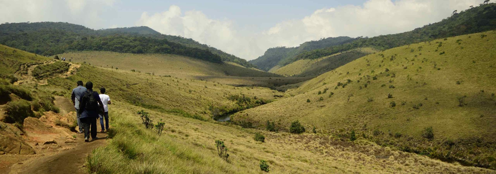 trekking-in-hortain-plains-srilankatravel
