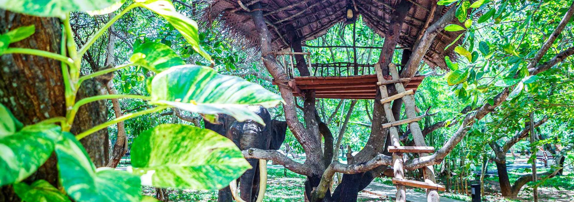 tuin-elephant-reach-yala-national-park