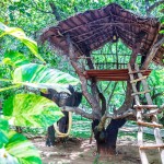 tuin-elephant-reach-yala-national-park