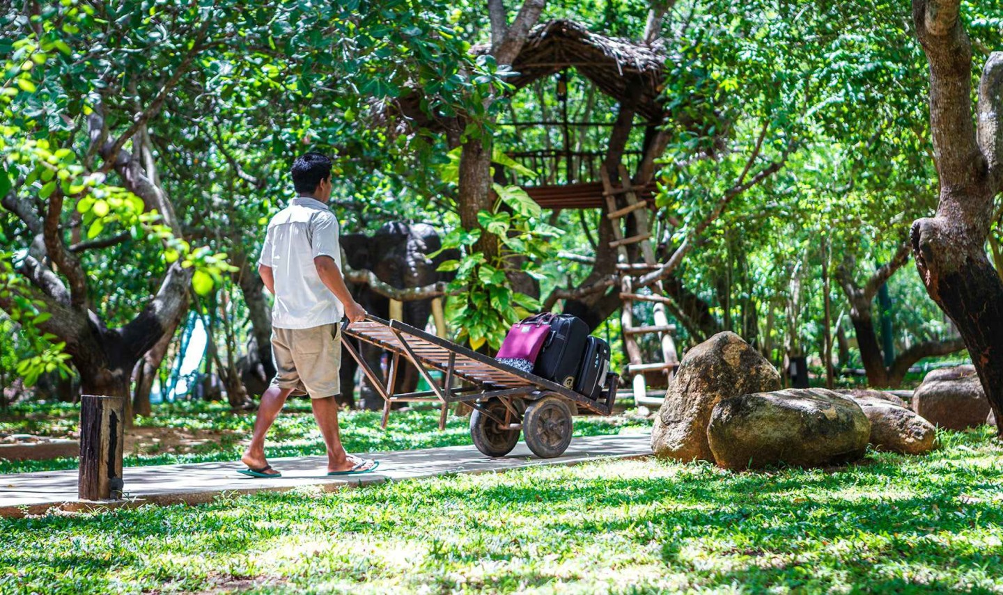 tuin-elephant-reach-yala-sri-lanka