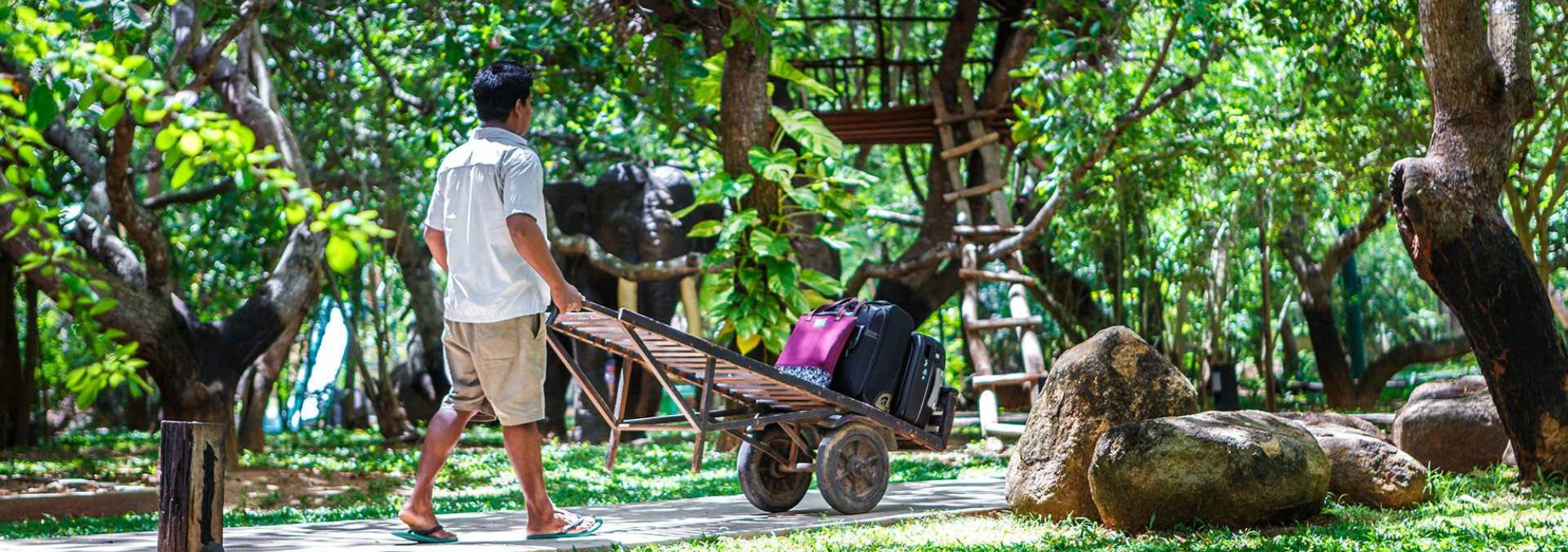 tuin-elephant-reach-yala-sri-lanka