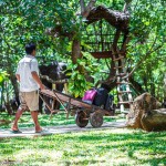 tuin-elephant-reach-yala-sri-lanka