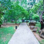 tuine-zwembad-elephant-reach-yala-srilanka-travel